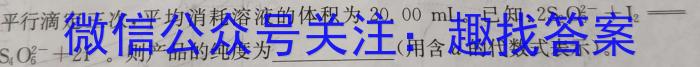 2023届名校之约·中考导向总复习模拟样卷 二轮(六)化学