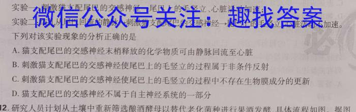 江西省2022-2023学年度九年级复*卷（三）生物试卷答案