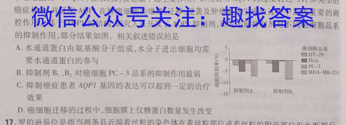 2023年普通高等学校招生全国统一考试 高考仿真冲刺押题卷(四)生物