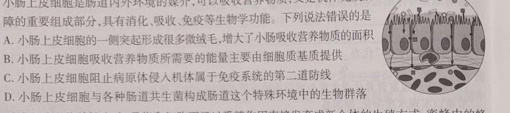 2023普通高校招生全国统一考试·全真冲刺卷(二)生物