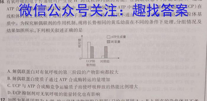 [新余二模]新余市2022-2023学年高三第二次模拟考试生物试卷答案