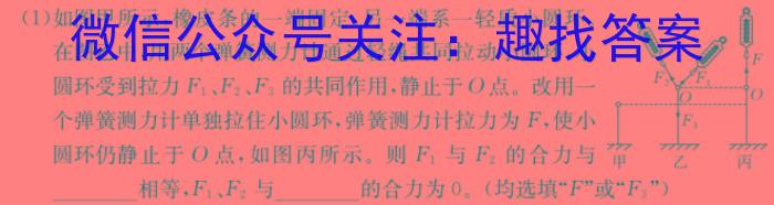 新向标教育 淘金卷2023年普通高等学校招生考试模拟金卷2q物理