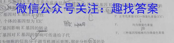 2023年普通高等学校招生全国统一考试 高考仿真冲刺押题卷(四)生物试卷答案