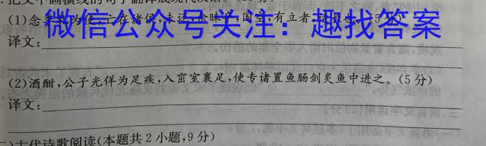 新疆乌鲁木齐2023年高三年级第三次质量监测(问卷)语文