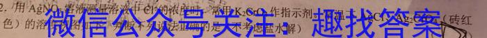 山西省2022~2023学年度七年级下学期期中综合评估 6L化学