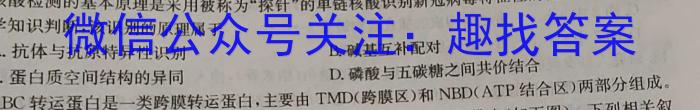 金考卷2023年普通高等学校招生全国统一考试 全国卷 押题卷(二)生物试卷答案