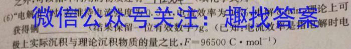 2022-2023学年安徽省七年级下学期阶段性质量检测（七）化学