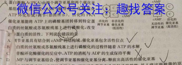 2023年陕西省初中学业水平考试·冲刺压轴模拟卷（二）生物