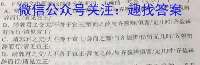 安徽省2023年肥西县九年级第二次质量调研语文