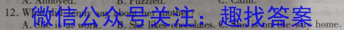 安徽省2023届九年级下学期教学质量监测（六）英语