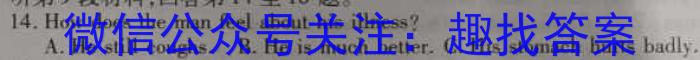 陕西省兴平市2023年初中学业水平考试模拟试题(二)英语