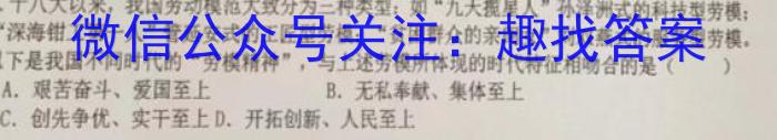 安徽省2023年九年级检测二政治s