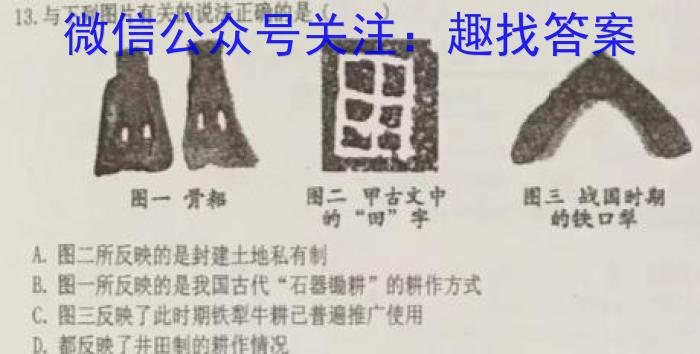 黑白卷 2023年普通高等学校招生全国统一考试(白卷)&政治