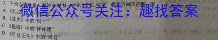 箐师联盟2023年高三年级4月质量检测语文