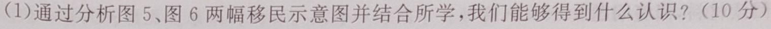 2023届普通高等学校招生全国统一考试冲刺预测·全国卷 EX-E(四)历史
