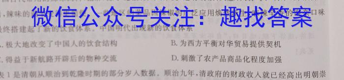 安徽省2023年九年级检测二历史