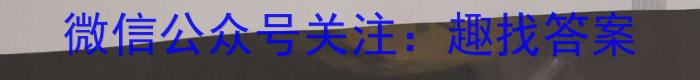 江淮名卷·2023年安徽中考模拟信息卷(六)历史试卷