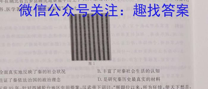 安徽省C20教育联盟2023年九年级第二次学业水平检测历史