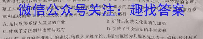 安徽省芜湖市无为市2022-2023学年九年级中考模拟检测（一）历史