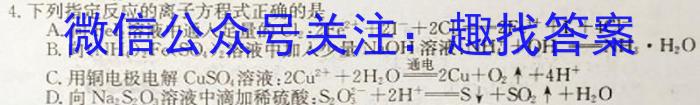 江西省九江市2023年初中学业水平考试复*试卷（二）化学