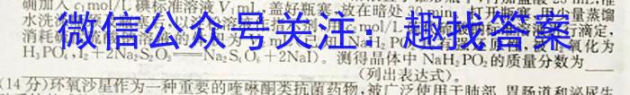 2023年安徽省中考教学质量调研（4月）化学