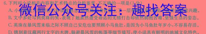 玖壹联考 安徽省2022~2023学年高一年级下学期阶段检测考试(5月)语文