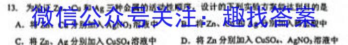 河南省2023年中招九年级适应性测试（二）化学