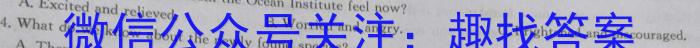 2023年普通高中学业水平选择性考试 23·(新高考)高考样卷(一)·FJ英语