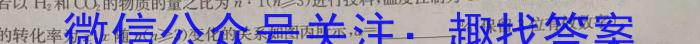 2023年商洛市第二次高考模拟检测试卷(23-390C)化学