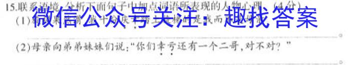 新向标教育 淘金卷2023年普通高等学校招生考试模拟金卷2语文