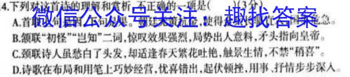 衡水金卷先享题压轴卷2023答案 老高考三语文