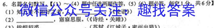 石室金匮·2023届高考专家联测卷(六)语文