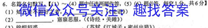 安徽省池州市2023年九年级中考模拟（三）语文