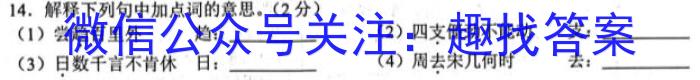 2023年曲靖市民族中学高一下学期期中考试(23575A)语文