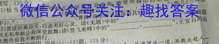 2023年普通高等学校招生全国统一考试 23(新高考)·JJ·YTCT 金卷·押题猜题(七)语文