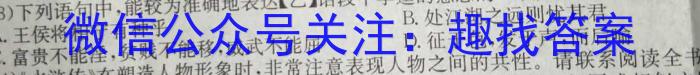 2023届名校之约·中考导向总复习模拟样卷 二轮(七)语文