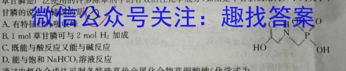 2023年江西省初中学业水平考试模拟卷（四）化学