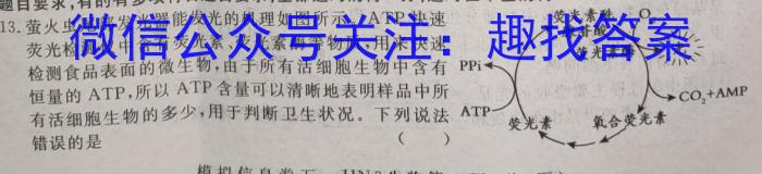 天一大联考 2022-2023学年海南省高考全真模拟卷(七)生物