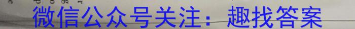皖智教育·省城名校2023年中考最后三模（二）英语