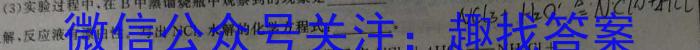 山西省2024~2023学年度七年级下学期期中综合评估 6L化学