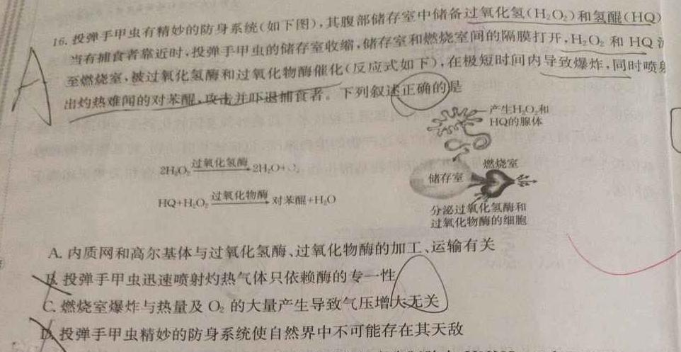 武汉市2023届高中毕业生四月调研考试生物