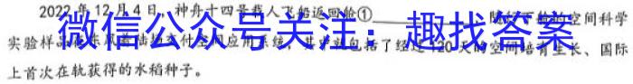 安徽省皖北五校2023届高三第二次五校联考语文