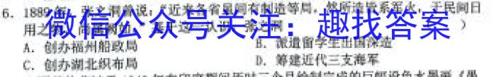 2023届名校之约·中考导向总复习模拟样卷 二轮(八)历史