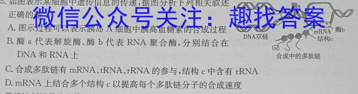 九师联盟2023年江西省高一下学期期中考试生物