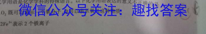 师大名师金卷 2023年陕西省初中学业水平考试模拟卷(四)化学