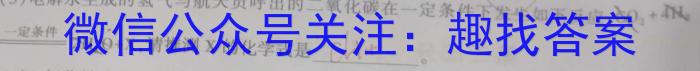 江西省2023年初中学业水平考试适应性试卷（一）化学