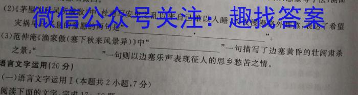 安徽省利辛县2023年九年级4月联考语文