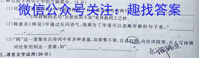 2023年湖南省普通高中学业水平合格性考试模拟试卷(五)语文