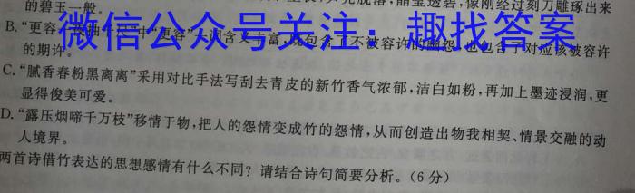 2023年湖南大联考高三年级4月联考（478C·HUN）语文