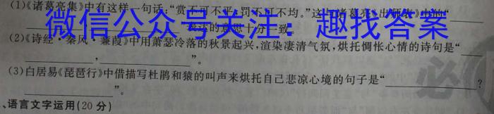 广西省2023年春季学期高二期中检测试卷(23-394B)语文